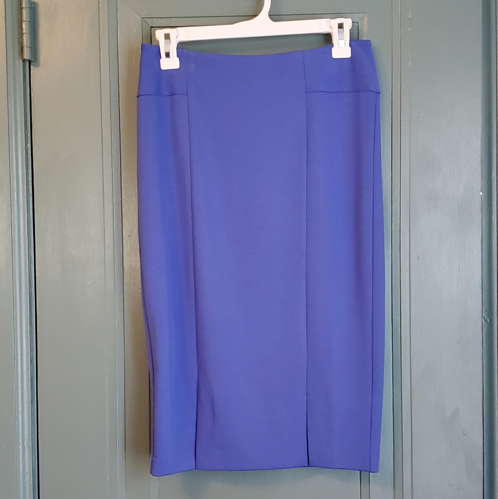 Cremieux pencil skirt
